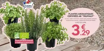 “truffaut” plantes aromatiques certifiées ab