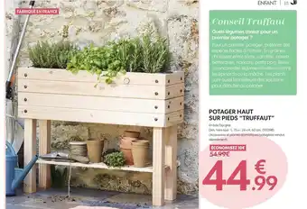 Truffaut Potager haut sur pieds truffaut offre