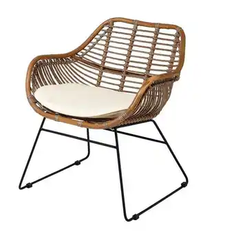 Fauteuil de jardin vintage en résine