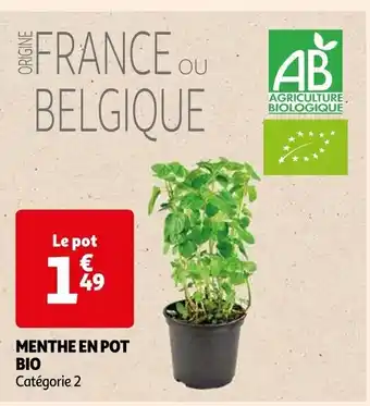 Auchan MENTHE EN POT BIO Catégorie 2 offre