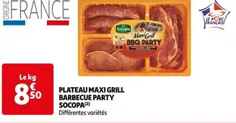 Auchan PLATEAU MAXI GRILL BARBECUE PARTY SOCOPA (²) Différentes variétés offre