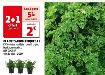 Auchan PLANTES AROMATIQUES 11 offre