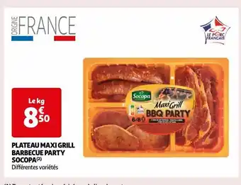 Auchan Plateau maxi grill barbecue party socopa offre