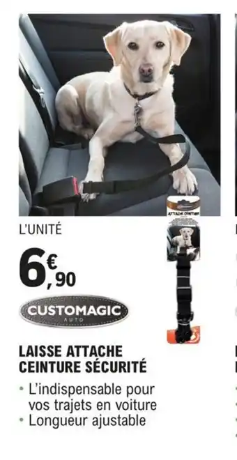 LAISSE ATTACHE CEINTURE SÉCURITÉ