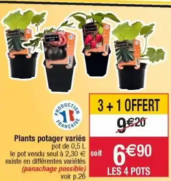 Cora x Carrefour Pot de fleurs offre