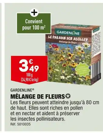 ALDI Gardenline mélange de fleurs offre