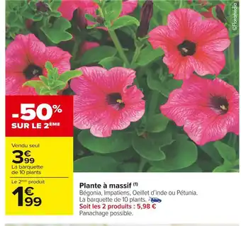 Carrefour Market Plante à massif offre