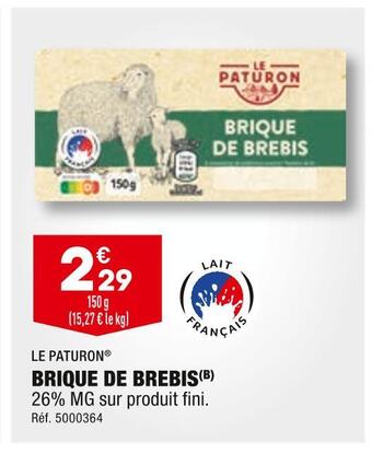 Le paturon brique de brebis