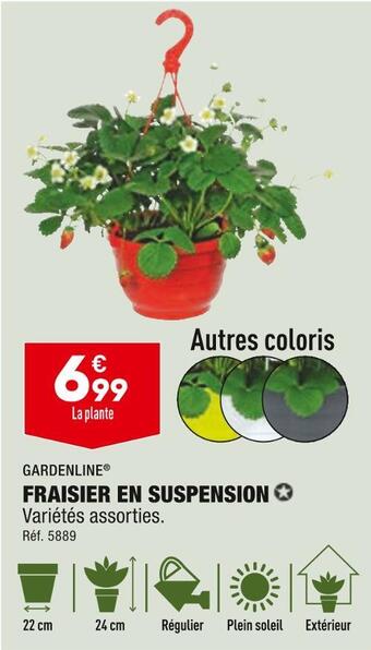 ALDI Gardenline fraisier en suspension offre