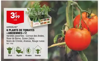 ALDI Gardenline 6 plants de tomates anciennes offre
