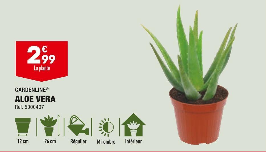 Promo Gardenline aloe vera chez ALDI