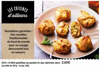 6 Mini pastillas au poulet et aux abricots secs