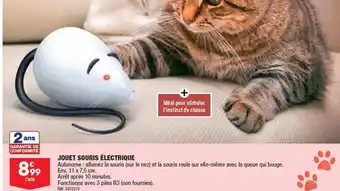 JOUET SOURIS ĂLECTRIQUE