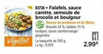 Thiriet Falafels, Sauce Carotte, Semoule De Brocolis Et Bulgour offre