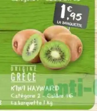 G20 KIWI HAYWARD offre