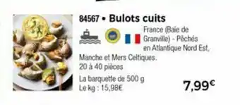Bulots Cuits