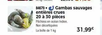 Gambas Sauvages Entiéres Crus