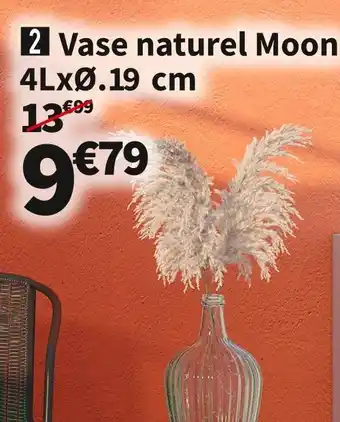 Vase naturel moon 4 l