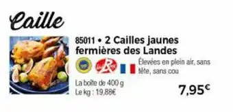 Thiriet 2 Cailles Jaunes Fermiéres Des Landes offre