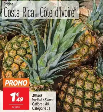 Netto ANANAS offre