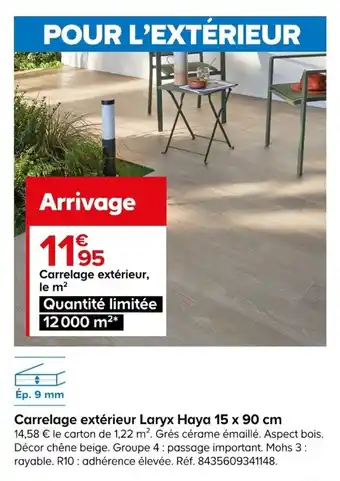 Castorama Carrelage extérieur Laryx Haya 15 x 90 cm offre