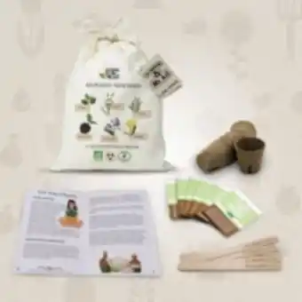 Kit de graines bio - les plantes médicinales