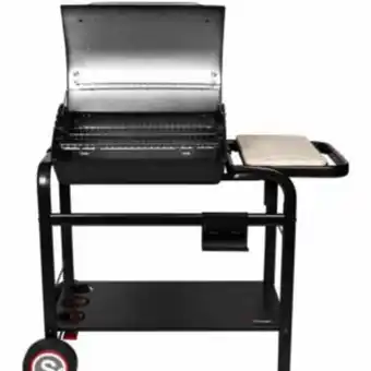 Gamm vert Barbecue de charbon en bois somagic hawai offre