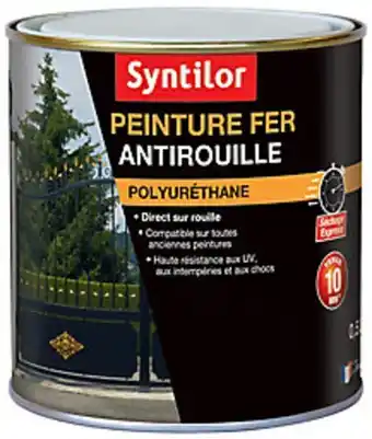 Castorama Peinture fer syntilor ultra protect noir mat 0,5l offre