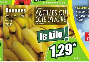 Norma Bananes offre
