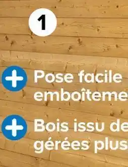 Castorama Goodhome lame offre