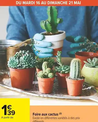 Carrefour Market Foire aux cactus offre