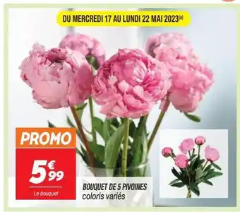 Netto Bouquet de 5 poivoines offre