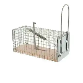 Provence Outillage Nasse pour souris 11x5,5x5,5 cm werkapro offre