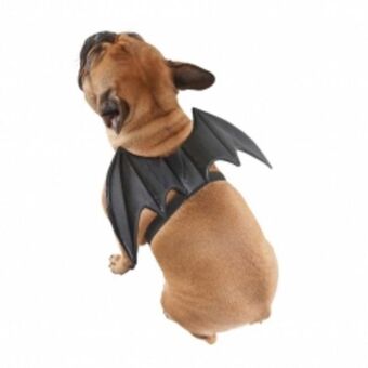 b&m Ailes de chauve souris chien offre