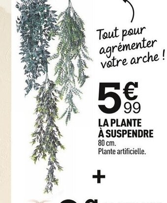 Centrakor LA PLANTE À SUSPENDRE offre