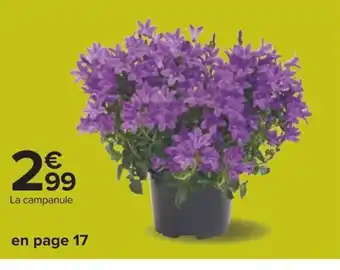 Carrefour La campanule offre