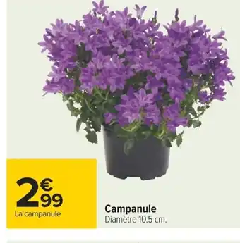 Campanule Diamètre 10.5 cm.