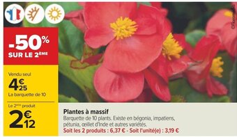 Carrefour Plantes à massif offre