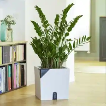 Pot de fleurs eda carré aqualight 35 cm blanc