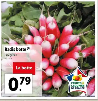Lidl Radis botte (1) Catégorie 1 offre
