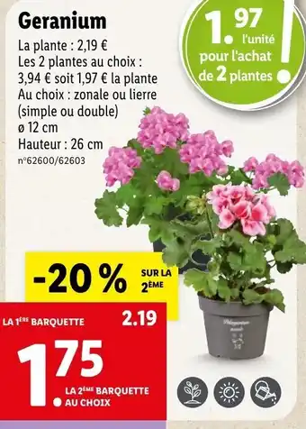 Lidl Geranium offre