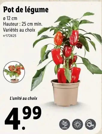 Pot de légume