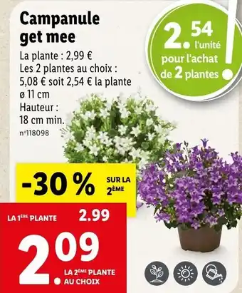 Lidl Campanule get mee offre