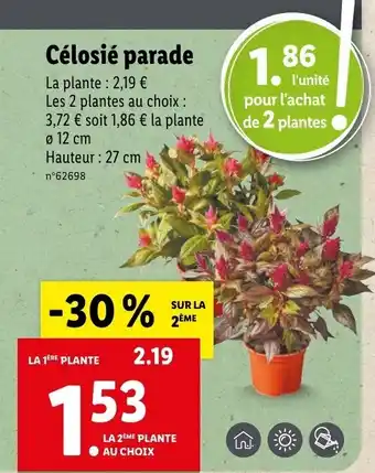 Célosié parade