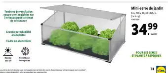 Lidl Mini-serre de jardin offre