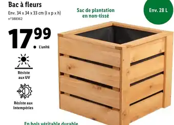 Lidl Bac à fleurs offre