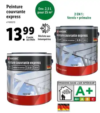 Lidl Peinture couvrante express offre