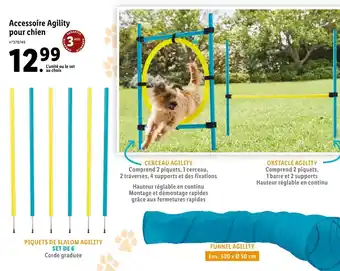 Lidl Accessoire Agility pour chien offre