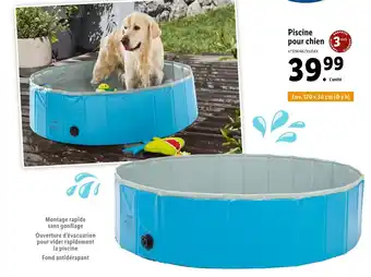 Lidl Piscine pour chien 34 offre