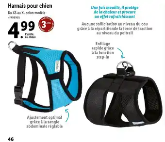Lidl Harnais pour chien offre
